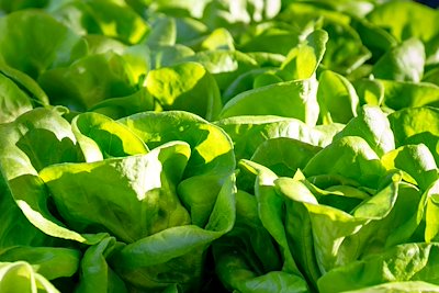 Greens